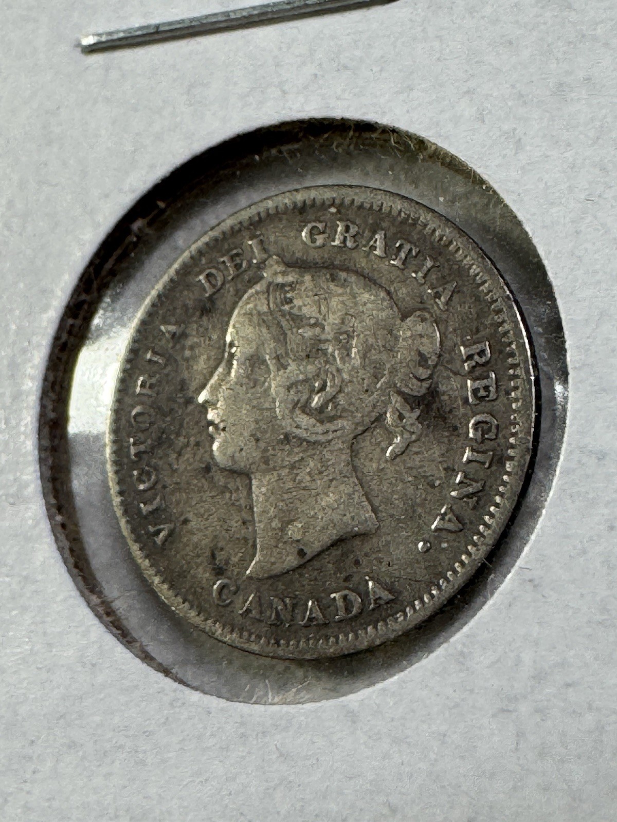 1889 Canada 5 Cents Small Silver Coin Cleaned