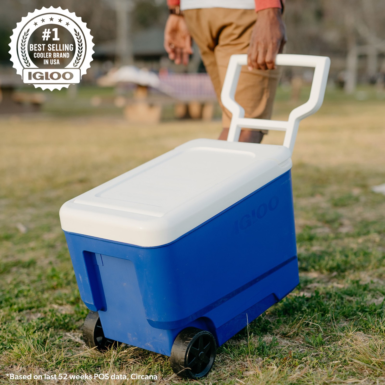 Igloo Wheelie Cool 38 QT Hard Sided Cooler with Wheels, Blue