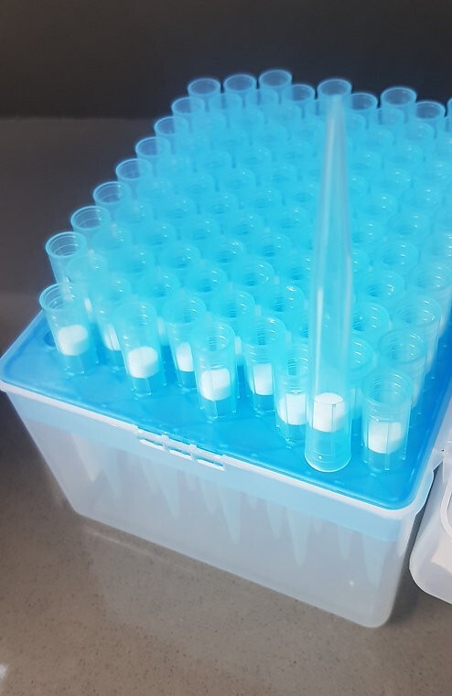 Pipette tips filtered 1250ul (Sterile, 50 racks, 4800 tips)