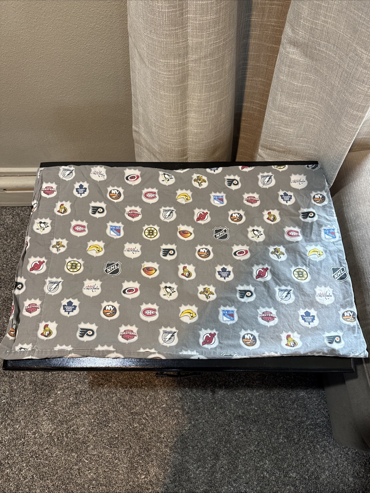 NHL Pottery Barn Teen PB Pillowcase Sheet GRAY used Standard 2007