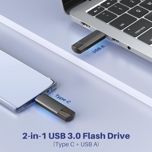 256GB USB C Flash Drive Dual USB 3.0 Flash Drive Type C + USB A 256 Gb 1 Pack