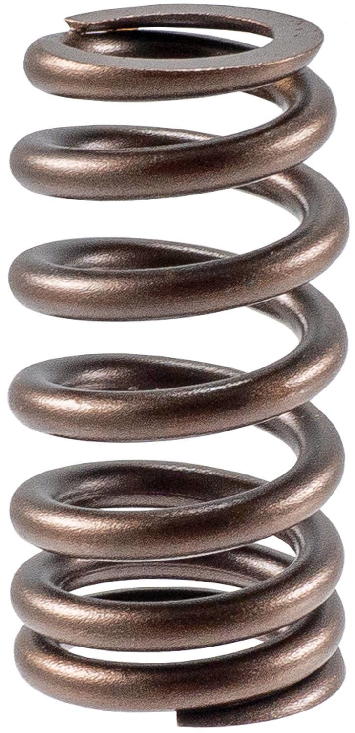 Engine Valve Spring-Stock Melling VS-2490
