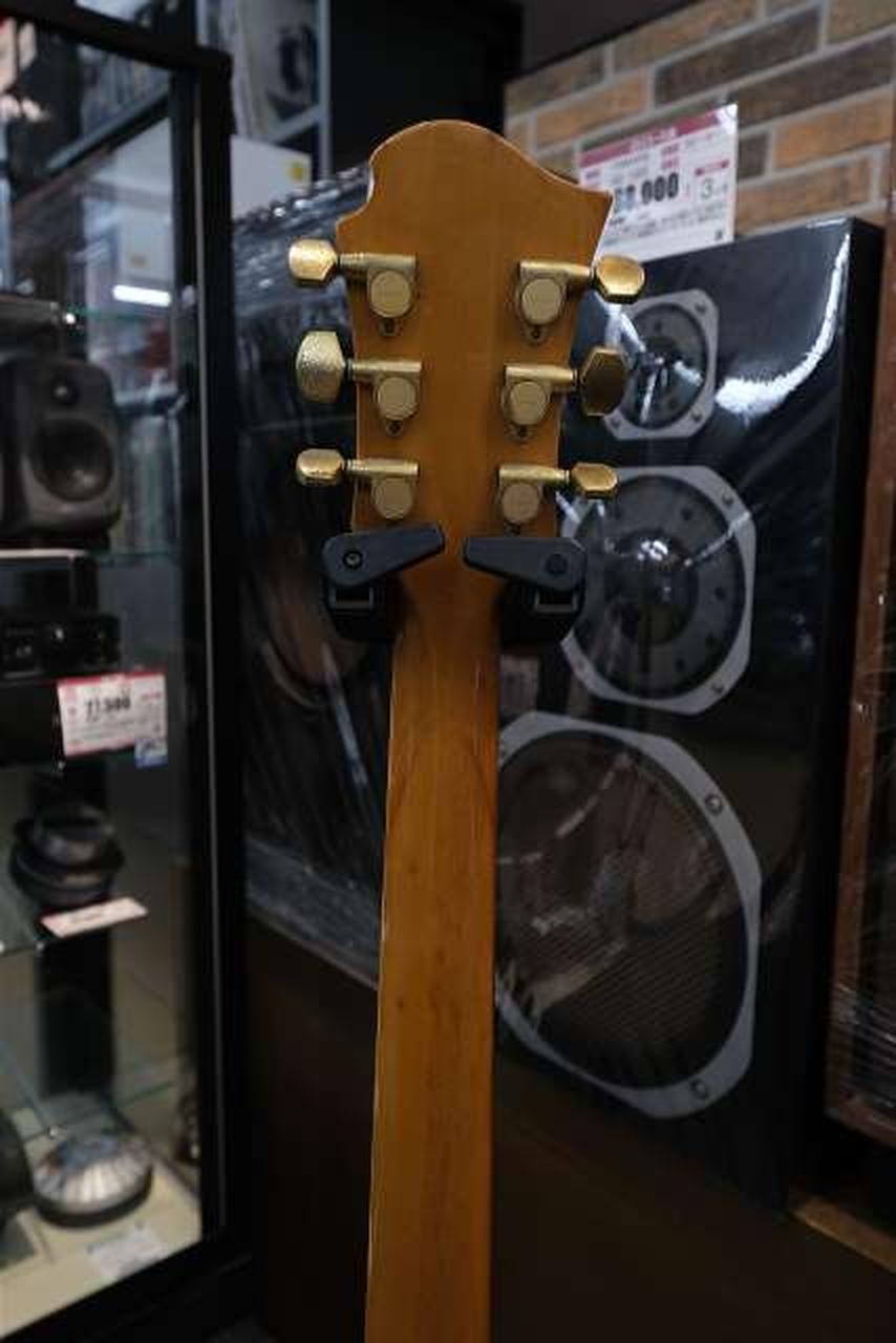 BURNY HIDE model MG-85X