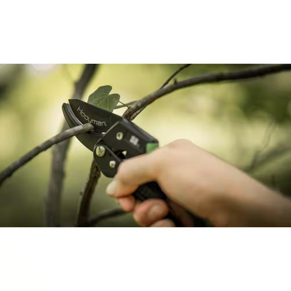 Ratchet Pruner