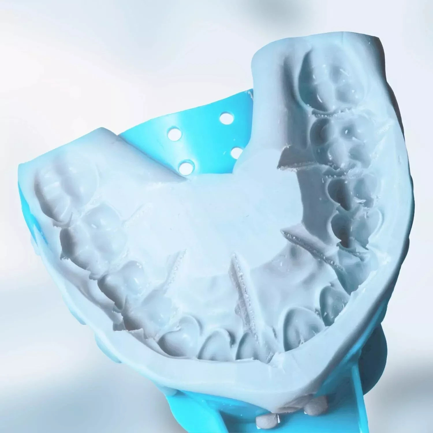 10 Pc/Set Dental Disposable Plastic Impression Trays Blue Plastic Denture