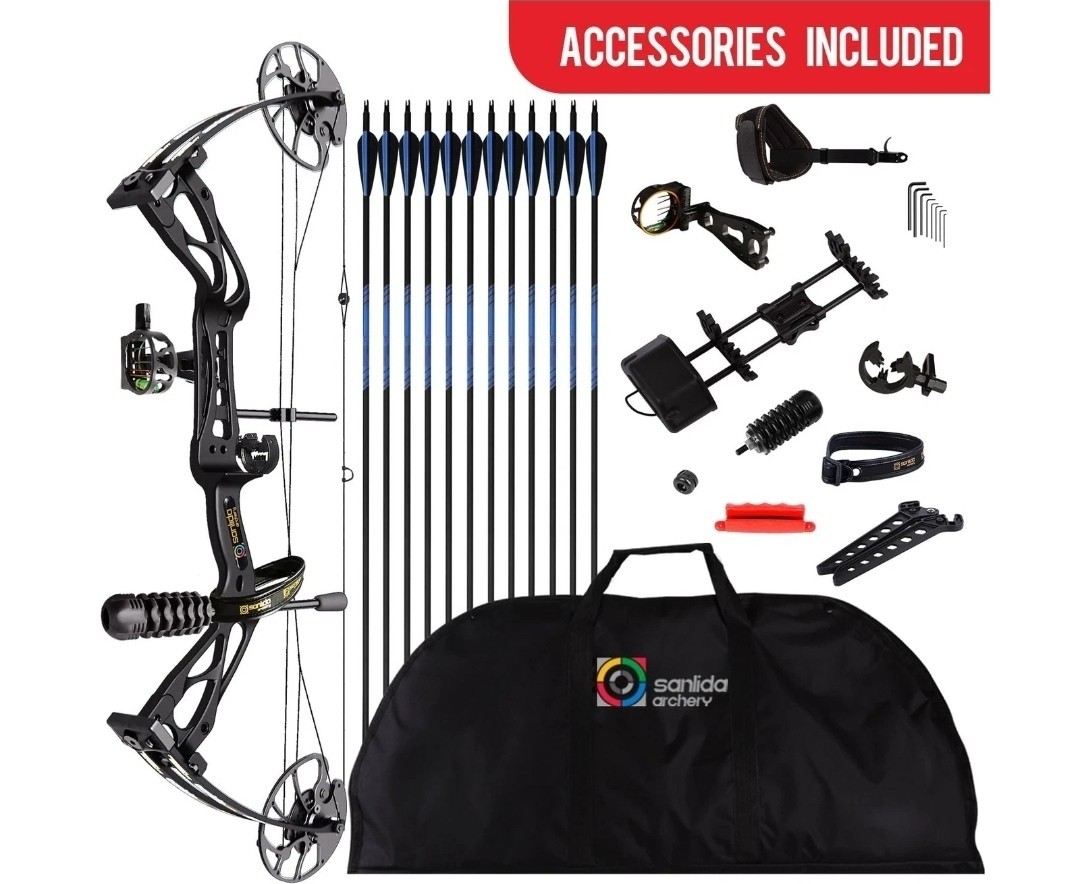 Dragon X8 RT Compound Bow Kit and 12Pcs Carbon Arrows, Case And Accessories