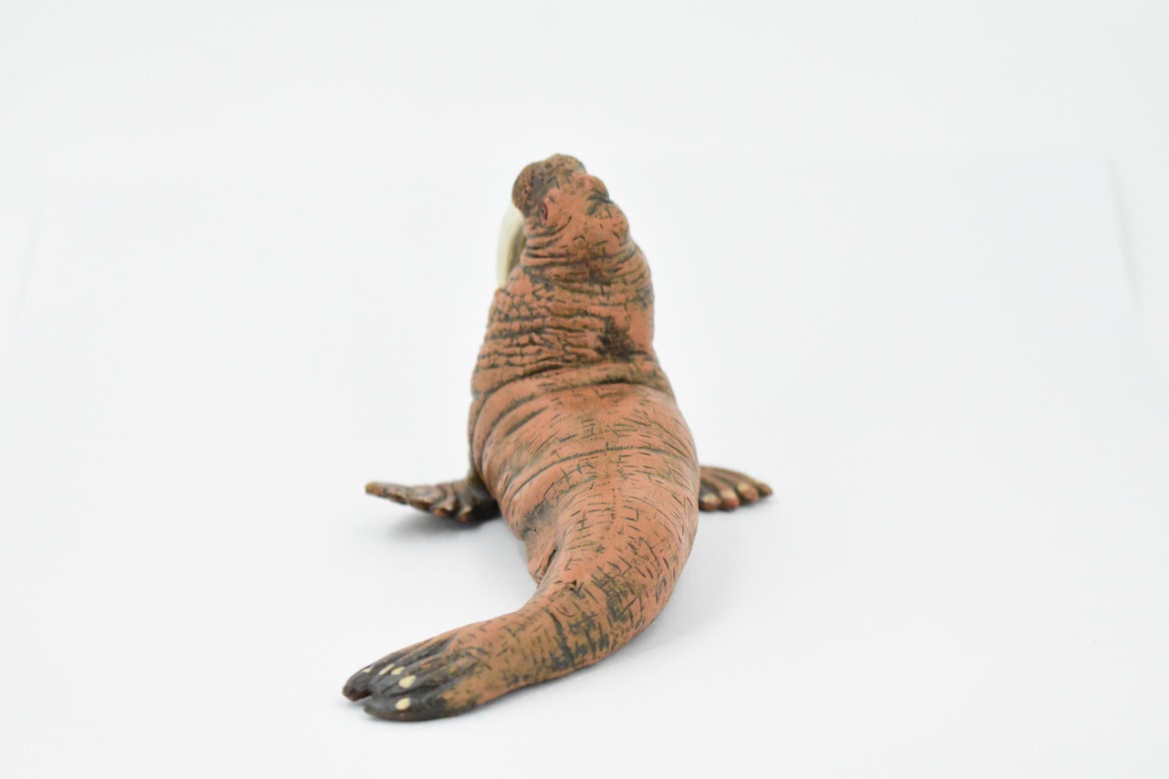 Walrus, Realistic Toy Figure, Model, Replica, Educational Gift 5" CH357 BB137