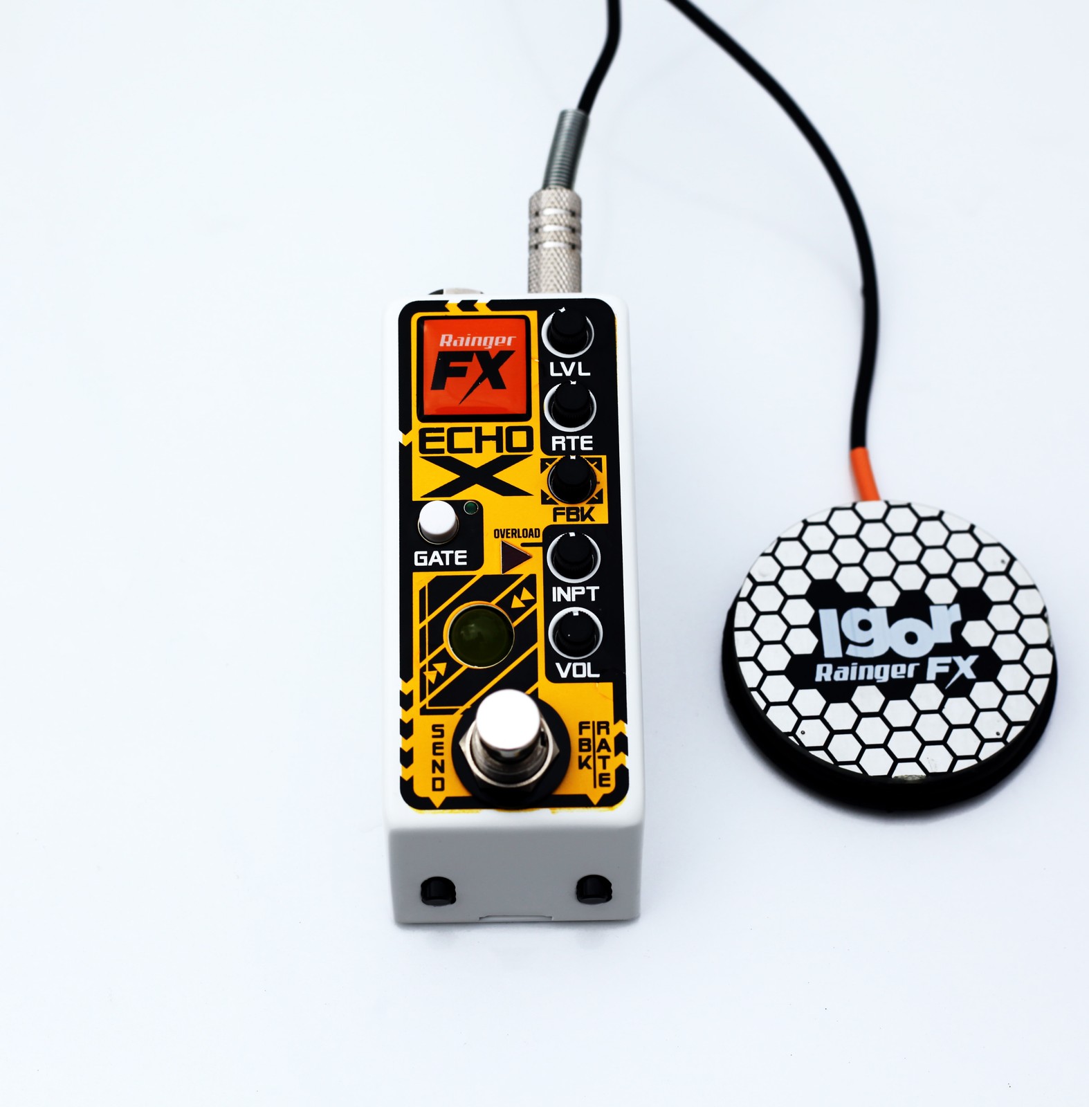 Rainger FX Echo-X Digital Delay Mini Pedal (with Igor)