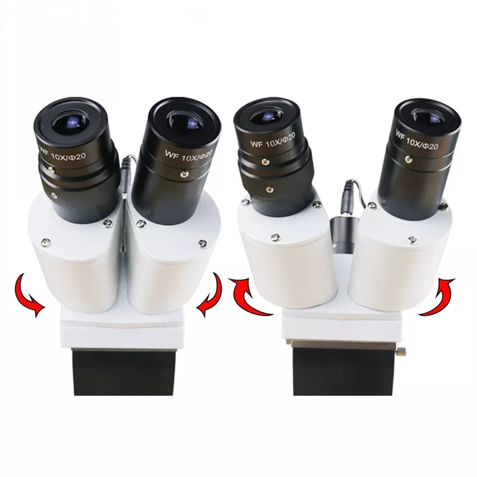 Desktop 10X Dental Stereo Binocular Microscope Surgical Root Canal Microscopes