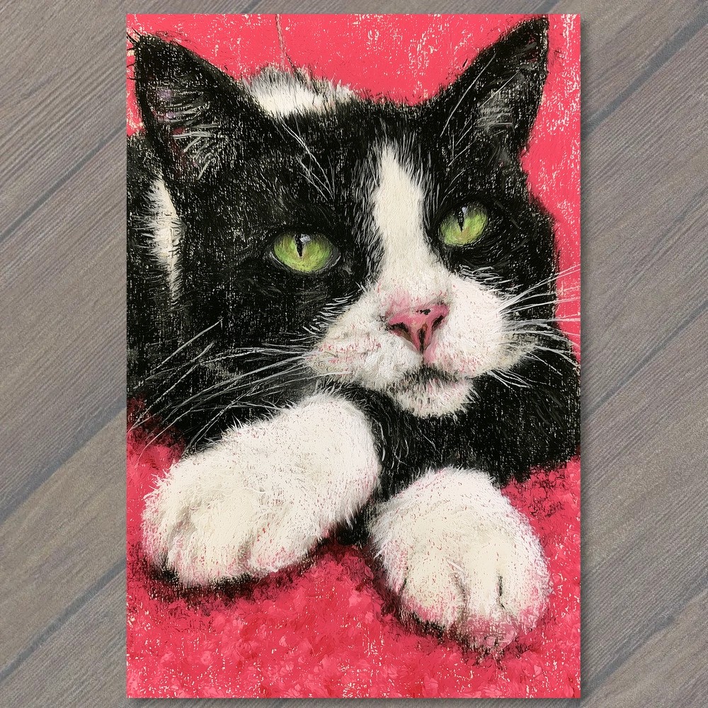 POSTCARD Black And White Cat Green Eyes Pink Background Cute Feline Soft Cozy