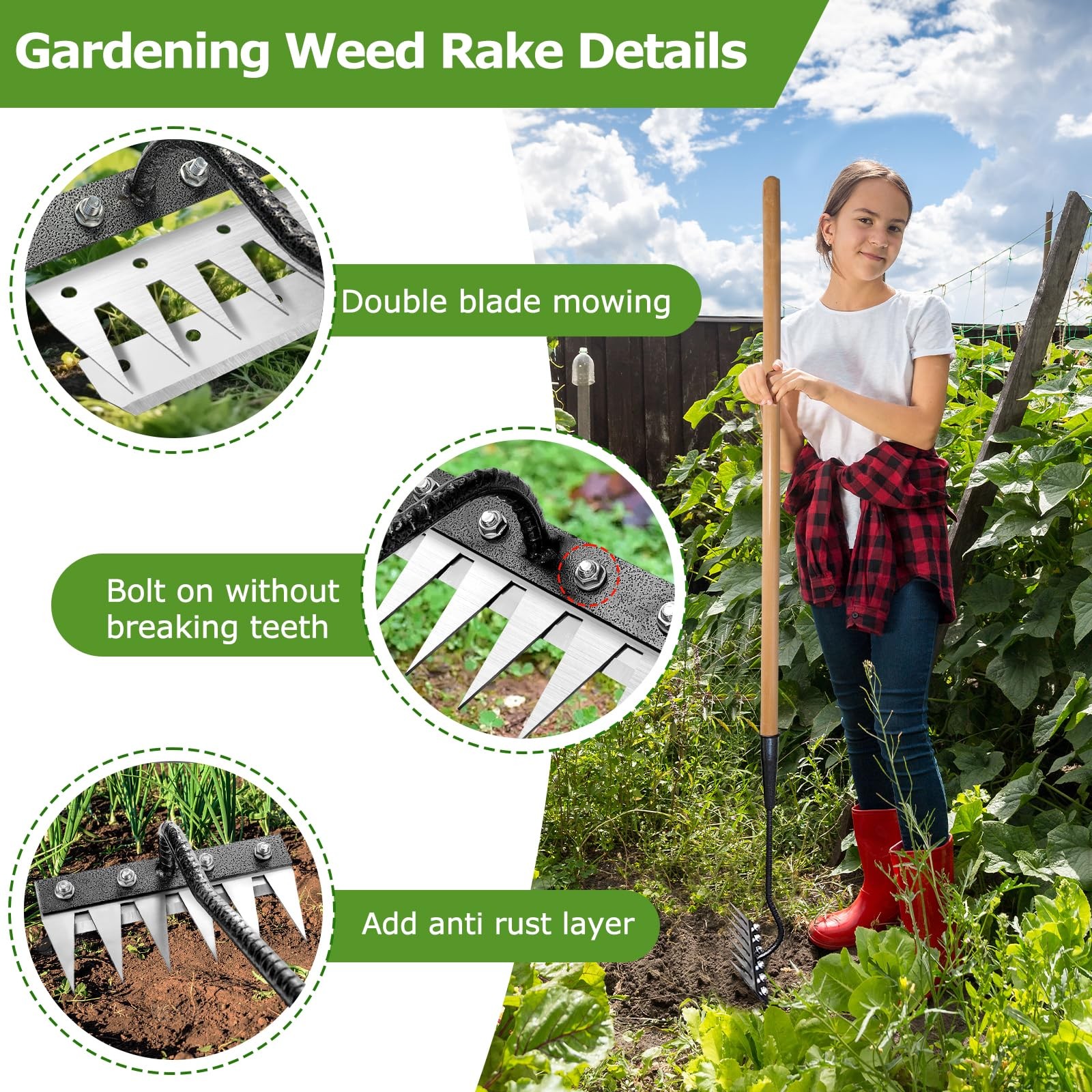 Gardenia Iron Weeding Rake, 2.0 Rake with Long transparent
