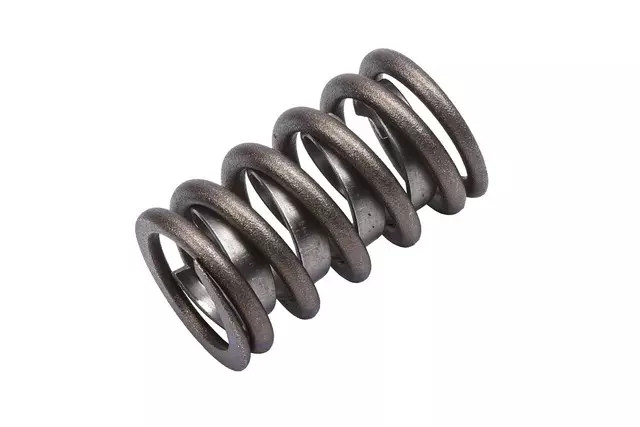 Genuine GM Valve Spring 03735381
