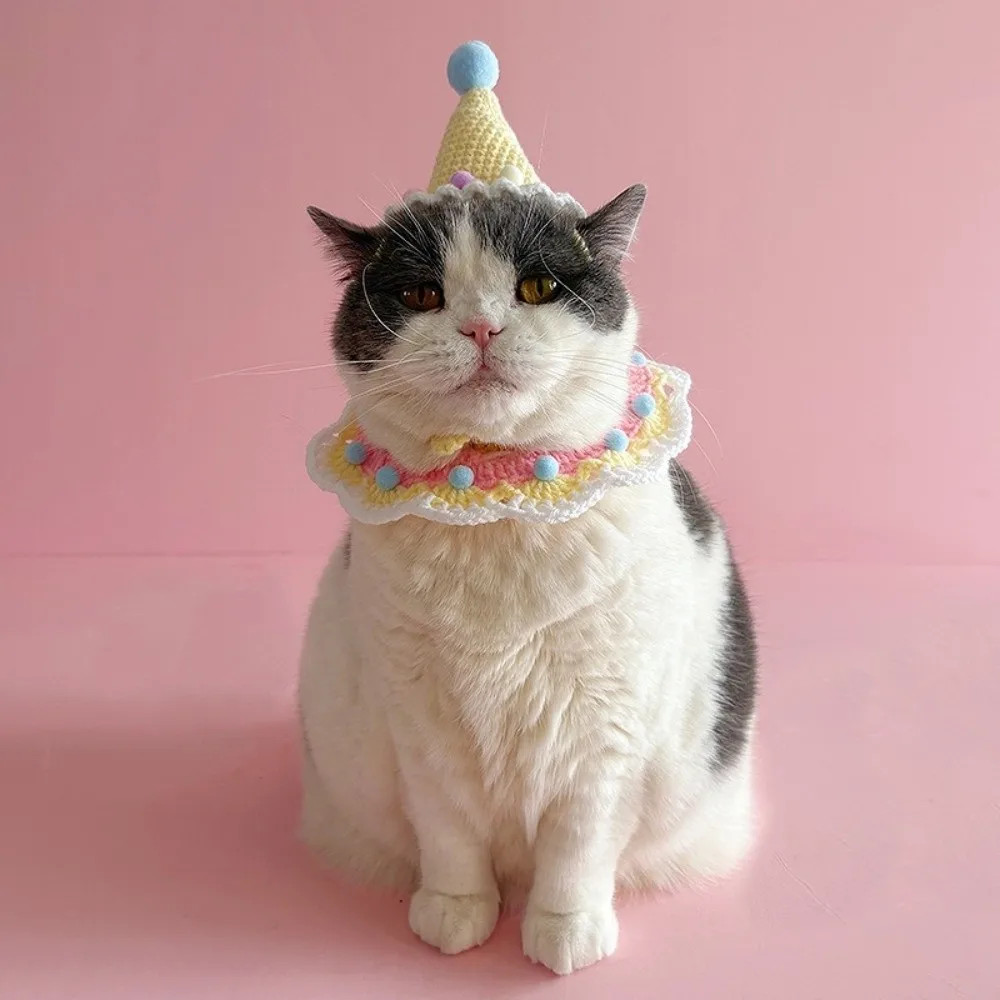 Cute Cat Birthday Hat Handmade Dress Up Dog Neck Set Pet Birthday Party Photo De