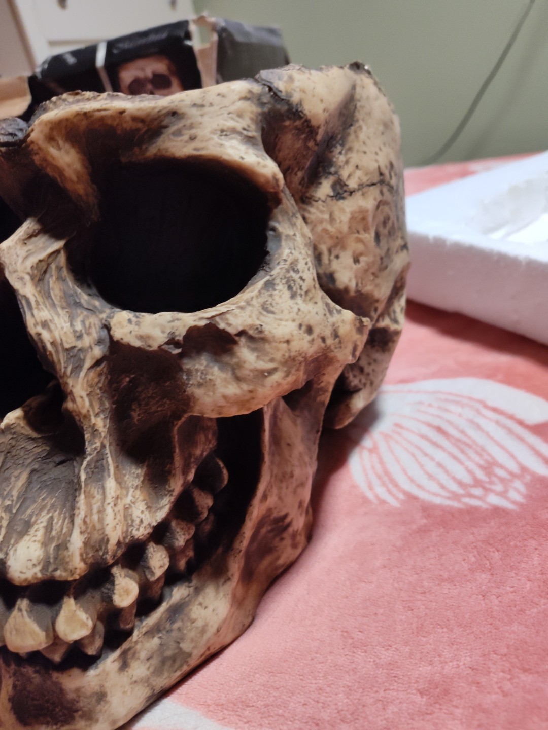 WORLD OF WONDER LARGE SKULL PLANTER