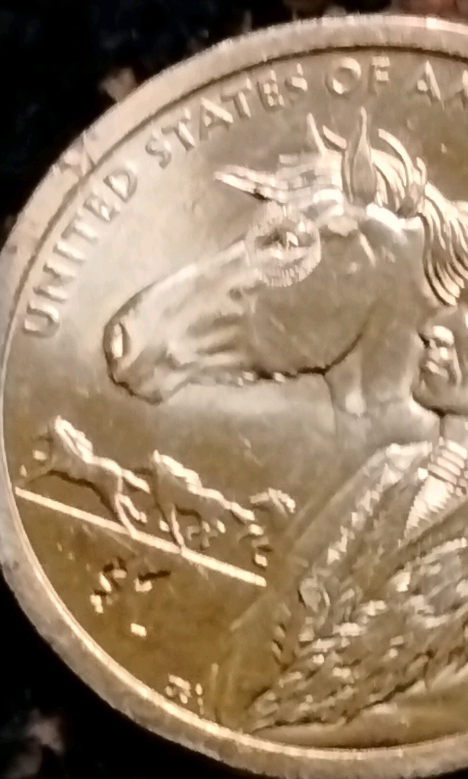 Native American 2012 P One Dollar Coin