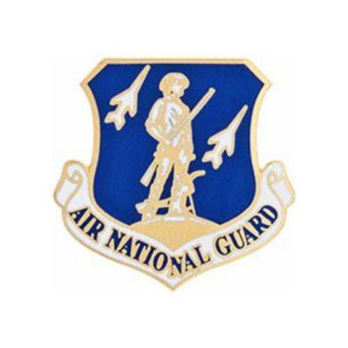Air National Guard U.S. Air Force USAF Genuine Military Pin 1-1/8" X 1-1/8"