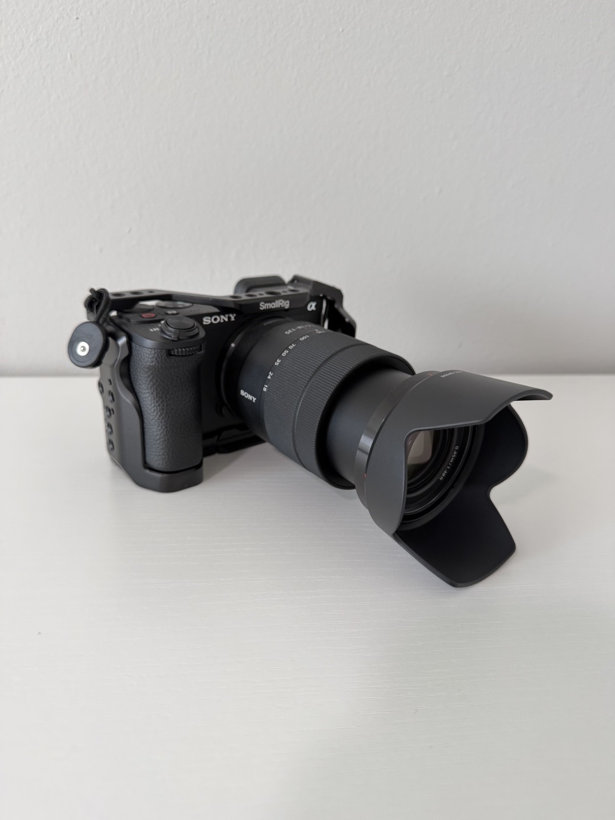 Sony Alpha a6700 APS-C Mirrorless Camera + E 18-135mm Lens LOW SHUTTER CT. 583