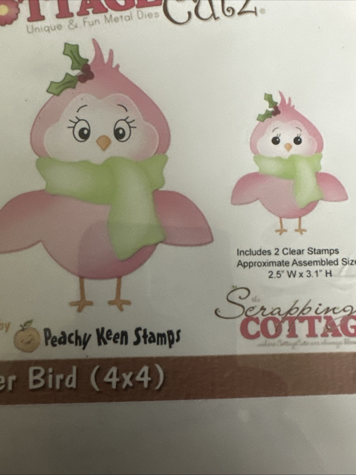 Cottage Cuts Winter Bird Die and Face Image Stamps Set of 2