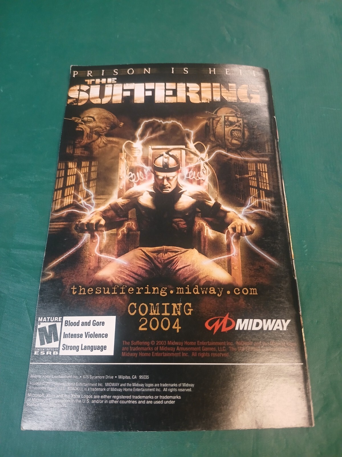Microsoft Original XBOX: RoadKill MANUAL ONLY