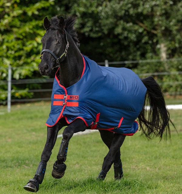 Mio Turnout Lite 0g Sheet - Dark Blue/Dark Blue/Red