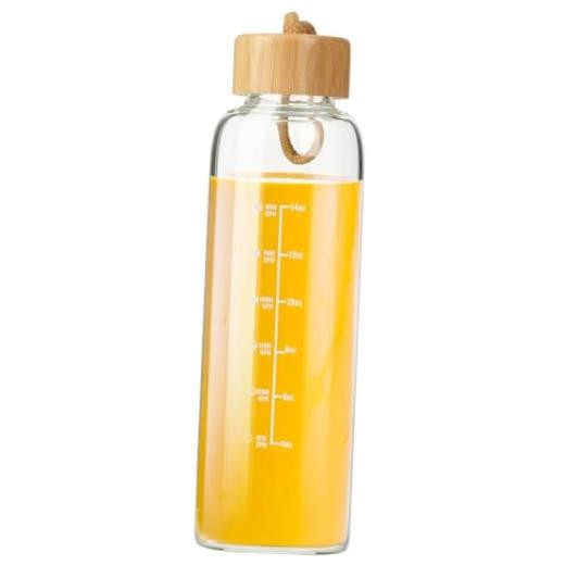 Glass Bottles with Lids and Time Marker, Glass Water Bottles with Carrying