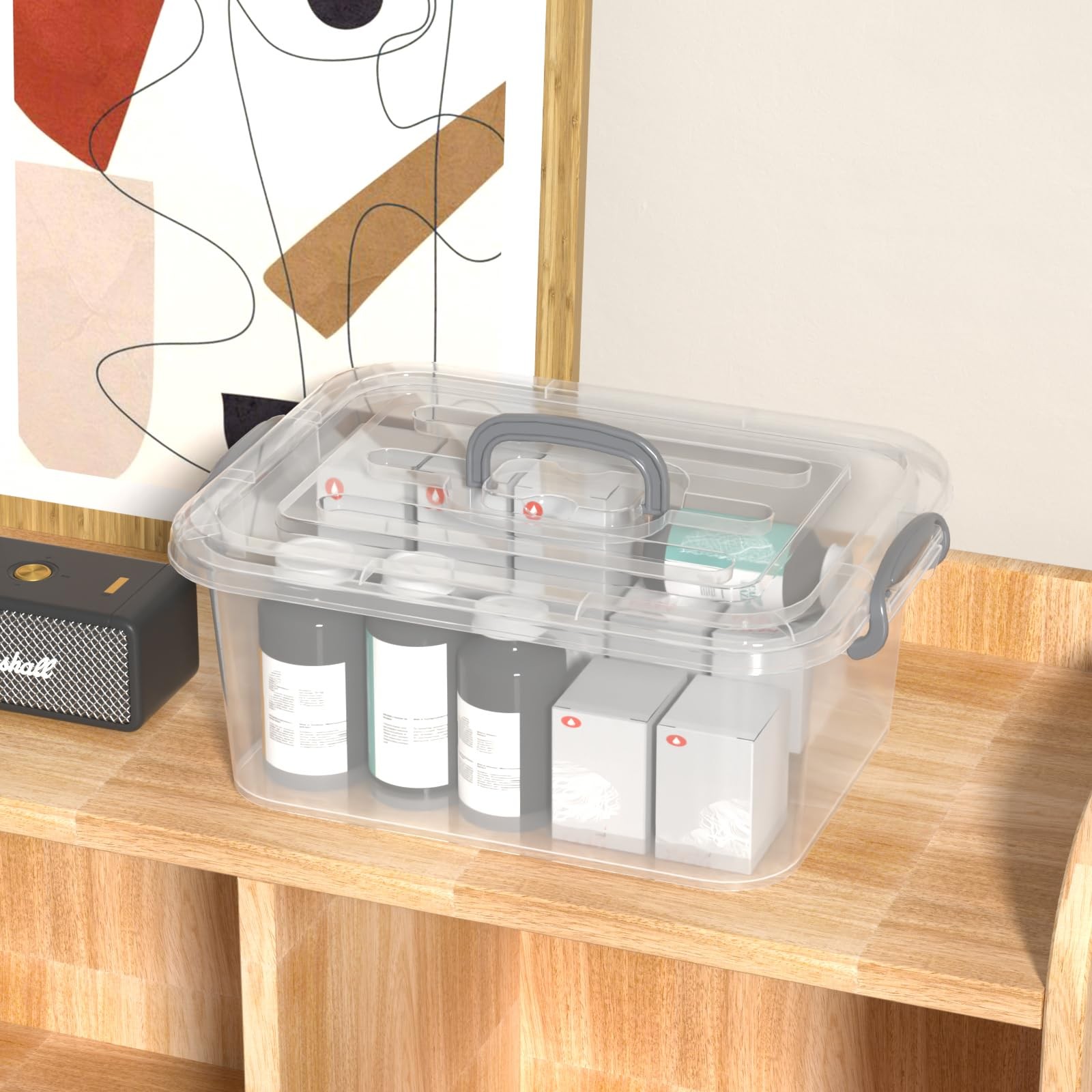 8 Quart Clear Storage Latching with Handle, Plastic Containers with Lids, 2 P...