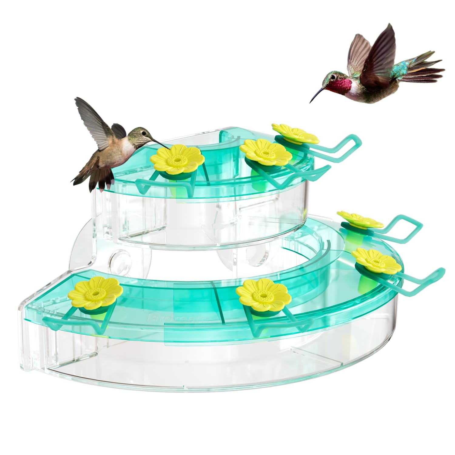 Birdream Window Hummingbird Feeders for Outdoors, with Strong 1 Pack, Green