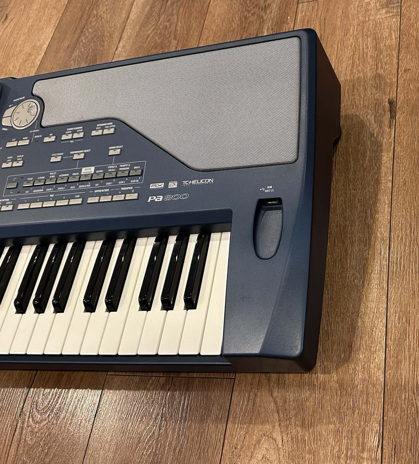 Korg PA-800 Professional Arranger..........#2