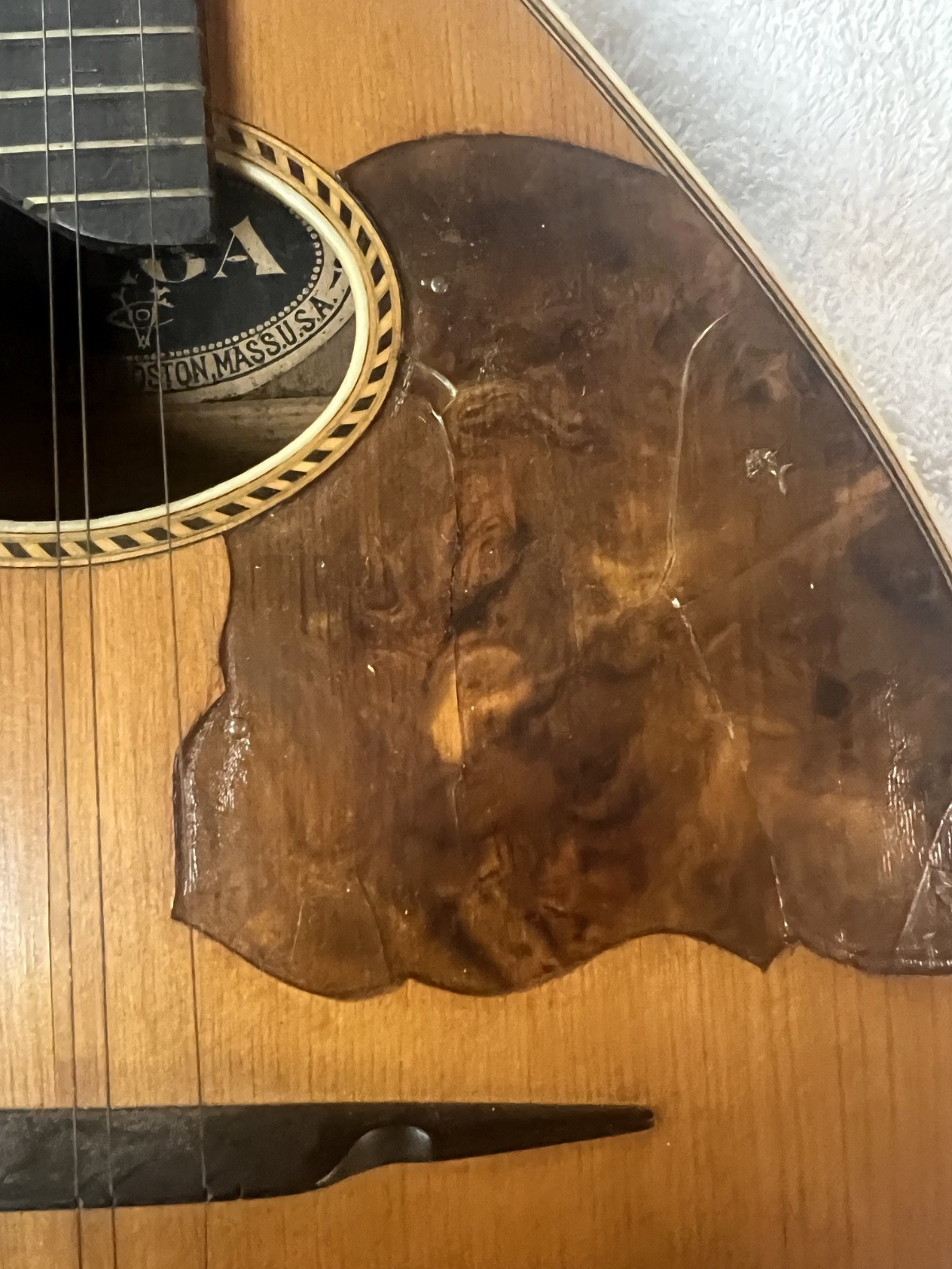 Rare 1916 Era Vega 8 String Flat Back Mandolin Serial 37302