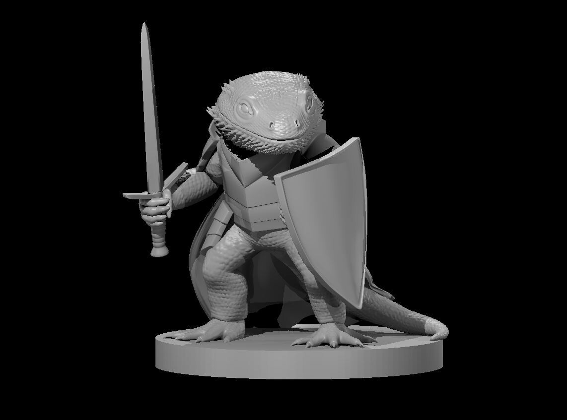 Bearded Dragon Born Fighter Adventurer NPC 28mm Scale DND D&D Tabletop Mini