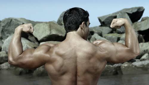 free form testosterone - TESTO BOOSTER 855MG - tribulus terrestris extract 2B