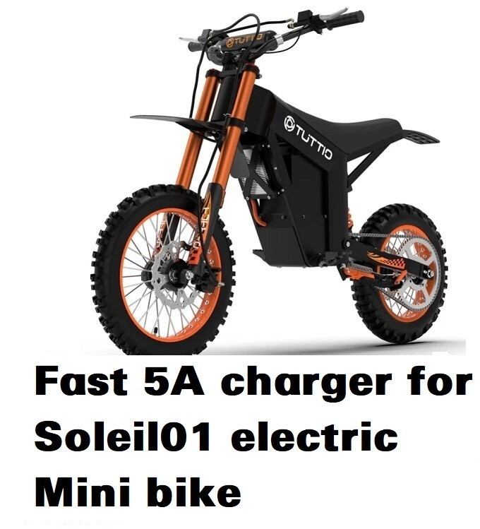 🔥54.6V 5A fast battery charger for Tuttio soleil 01 48v mini Electric bike