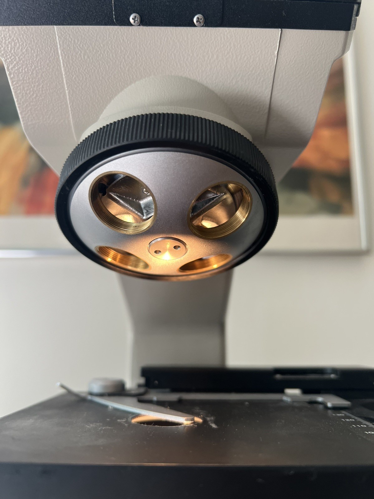 Nikon Alphaphot YS2-H Binocular Microscope | NO OBJECTIVE LENS