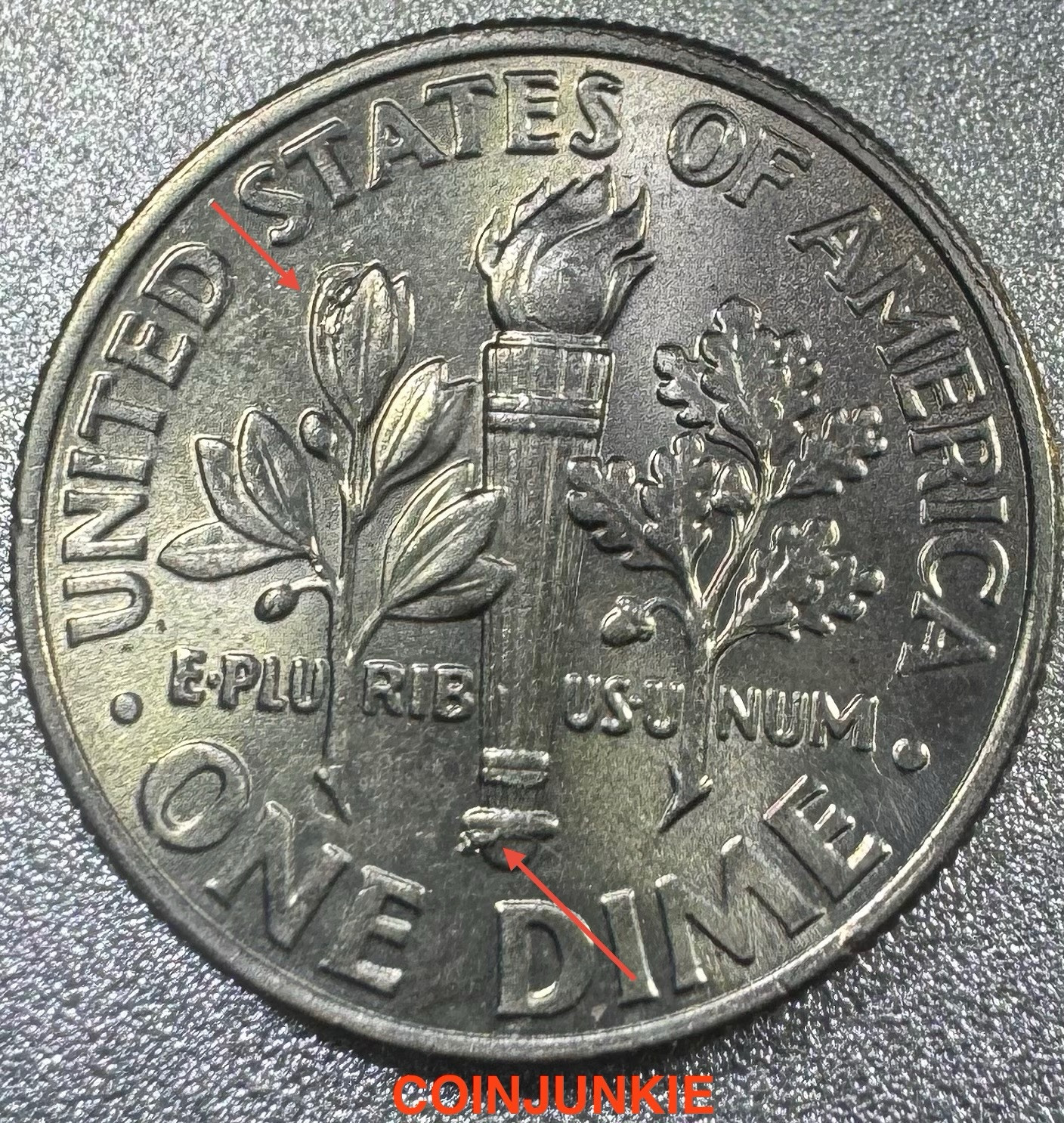 2020 P Roosevelt Dime-DIE CHIPS ON REVERSE-MINT ERRORS!
