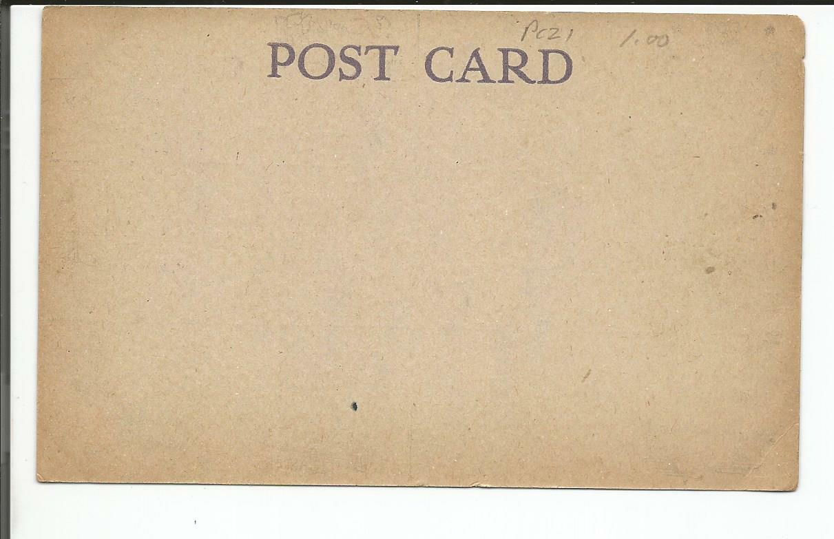 EASTER GREETING POSTCARD WITH 6 MESSAGE CHOICES undivided back