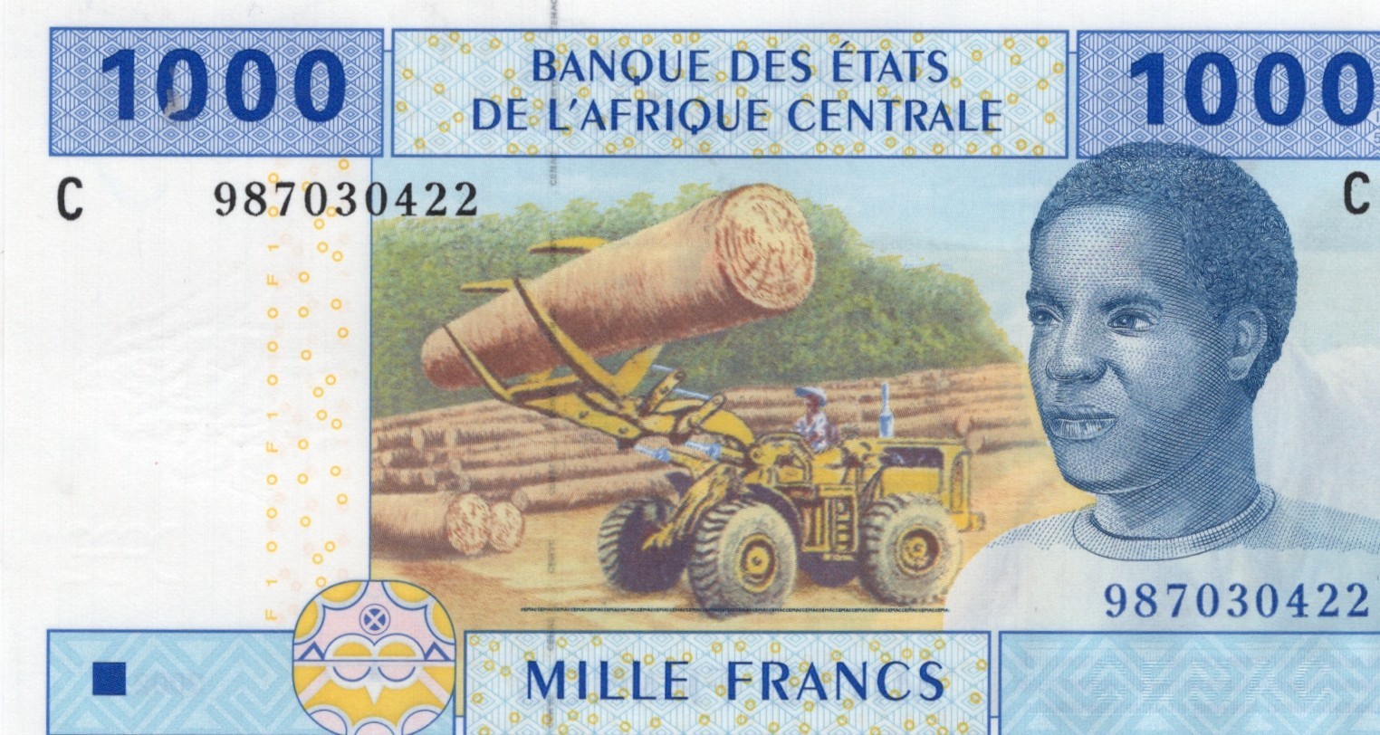 CENTRAL AFRICAN STATES CHAD 1000 FRANCS 2002  P 607. UNC CONDITION. 5RW NOV