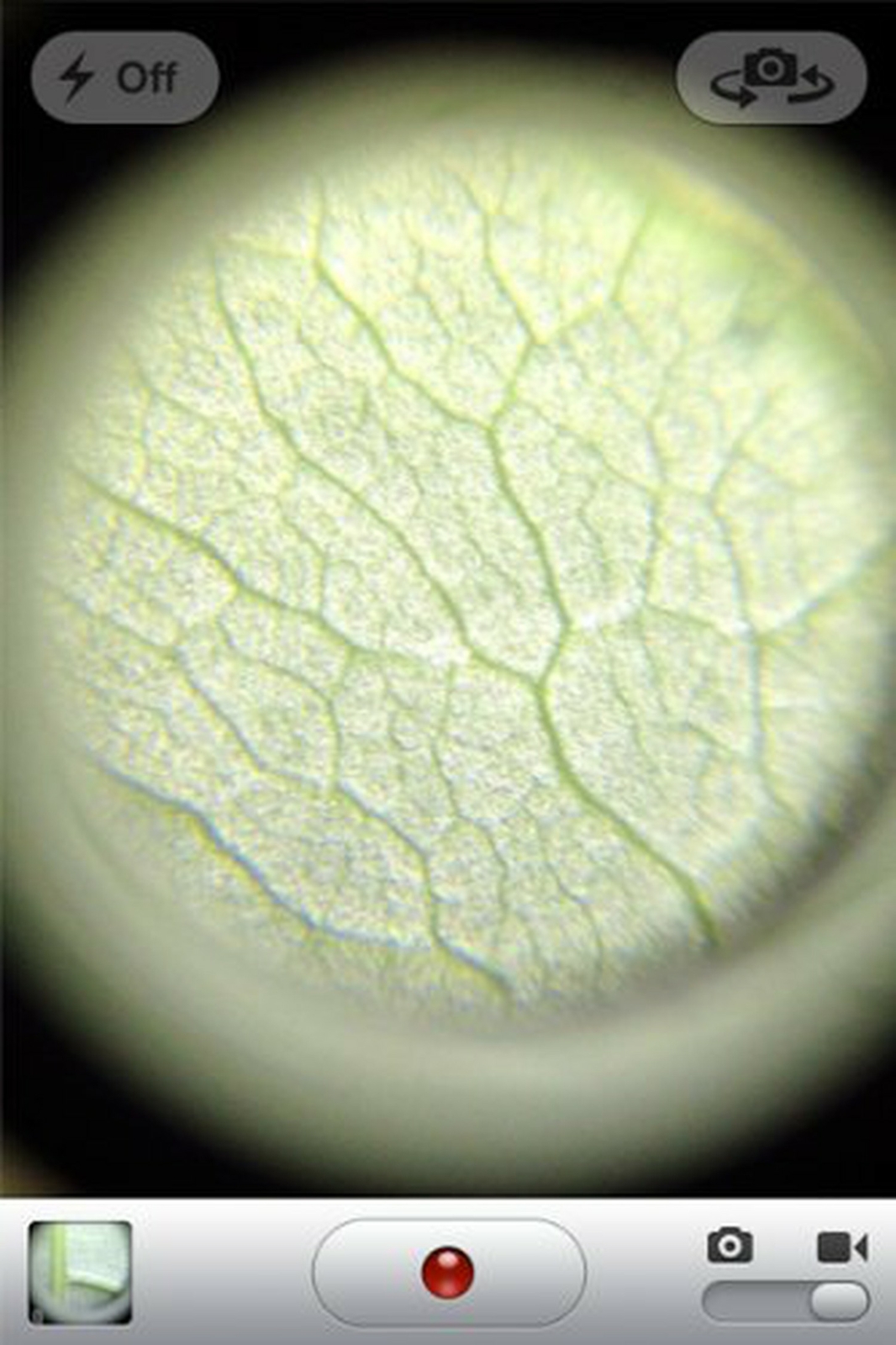 Grow1 v1.0 60x Magnification Microscope, Black (999095)