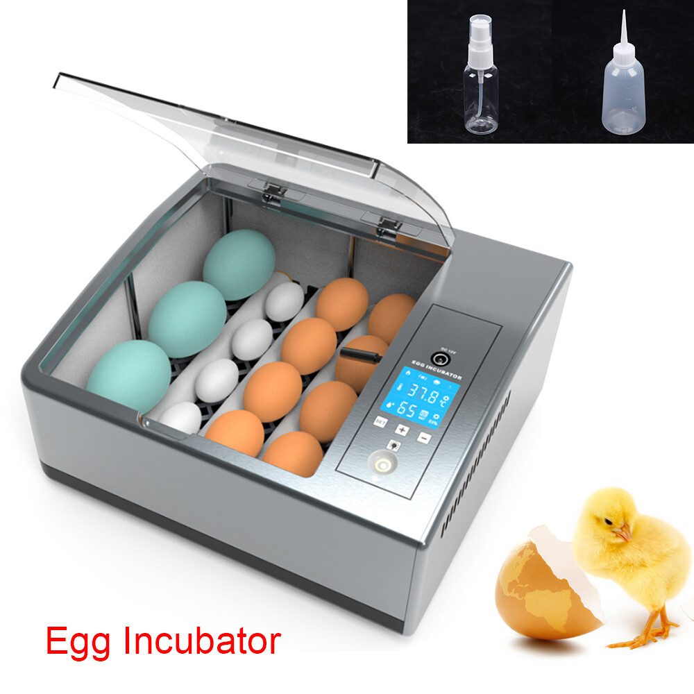 16 Chicken Egg Incubator Fit Hatching Eggs with Automatic Turner Temp Control US