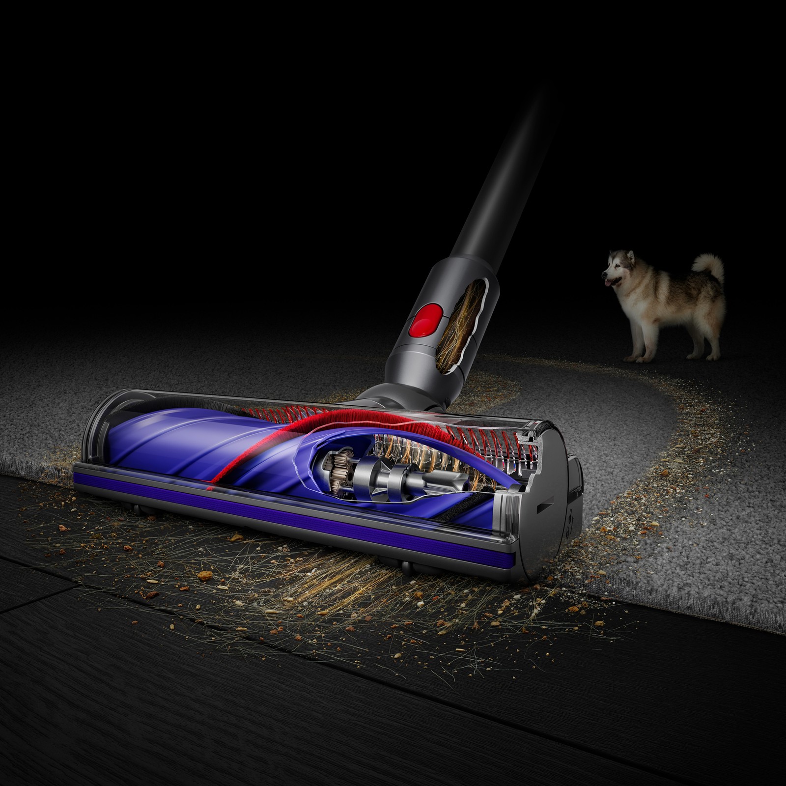 Dyson V11 Complete Cordless Vacuum Cleaner | Iron | Refurbished