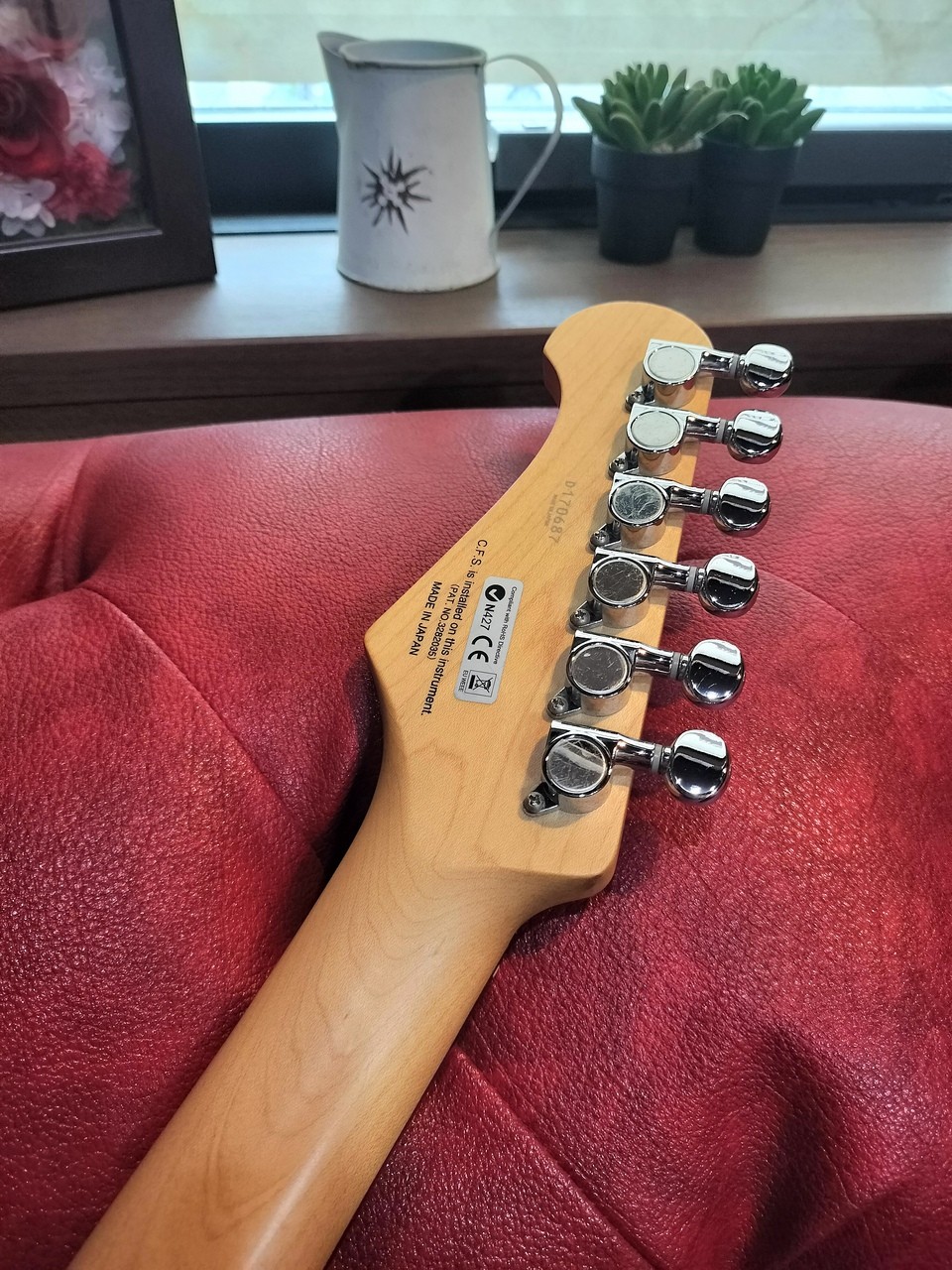 FUJIGEN FGN BCST100