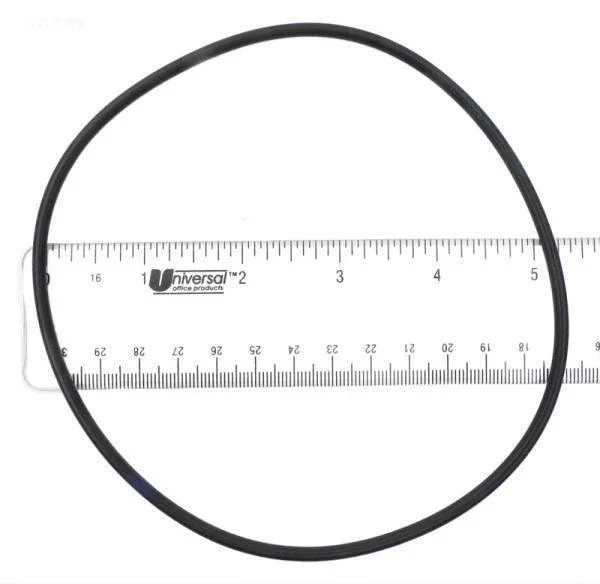 O-Ring, Volute