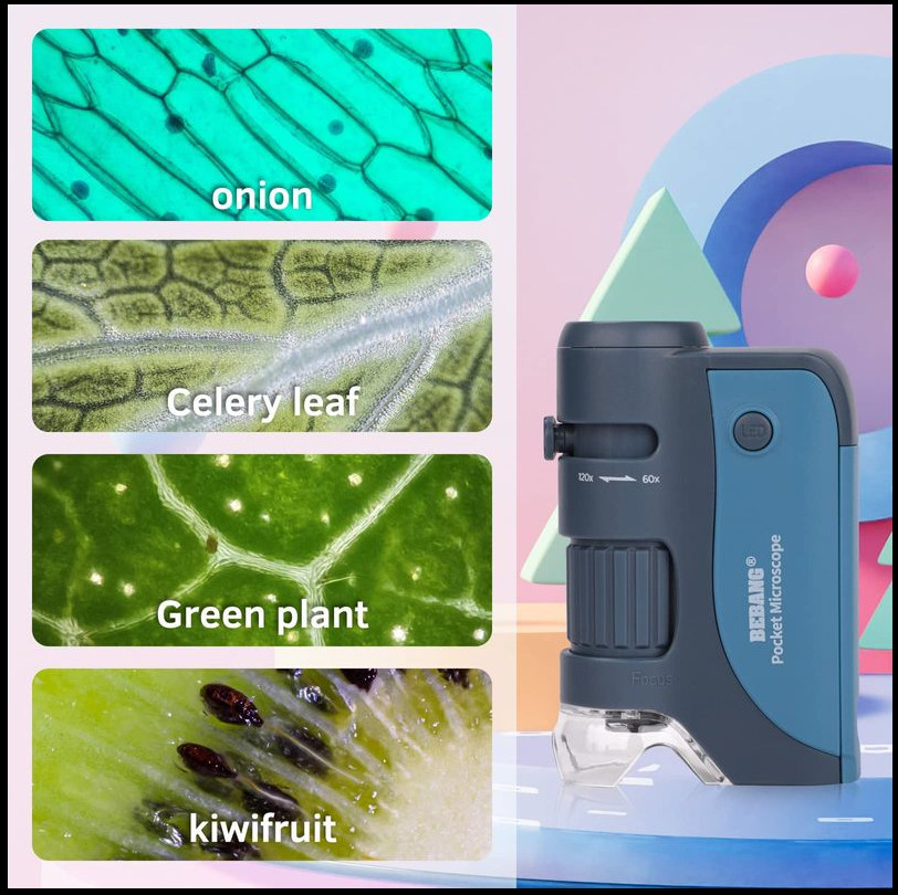 Pocket Microscope, 60x-120x Handheld Mini Kids with LED Lights, 5 Slides