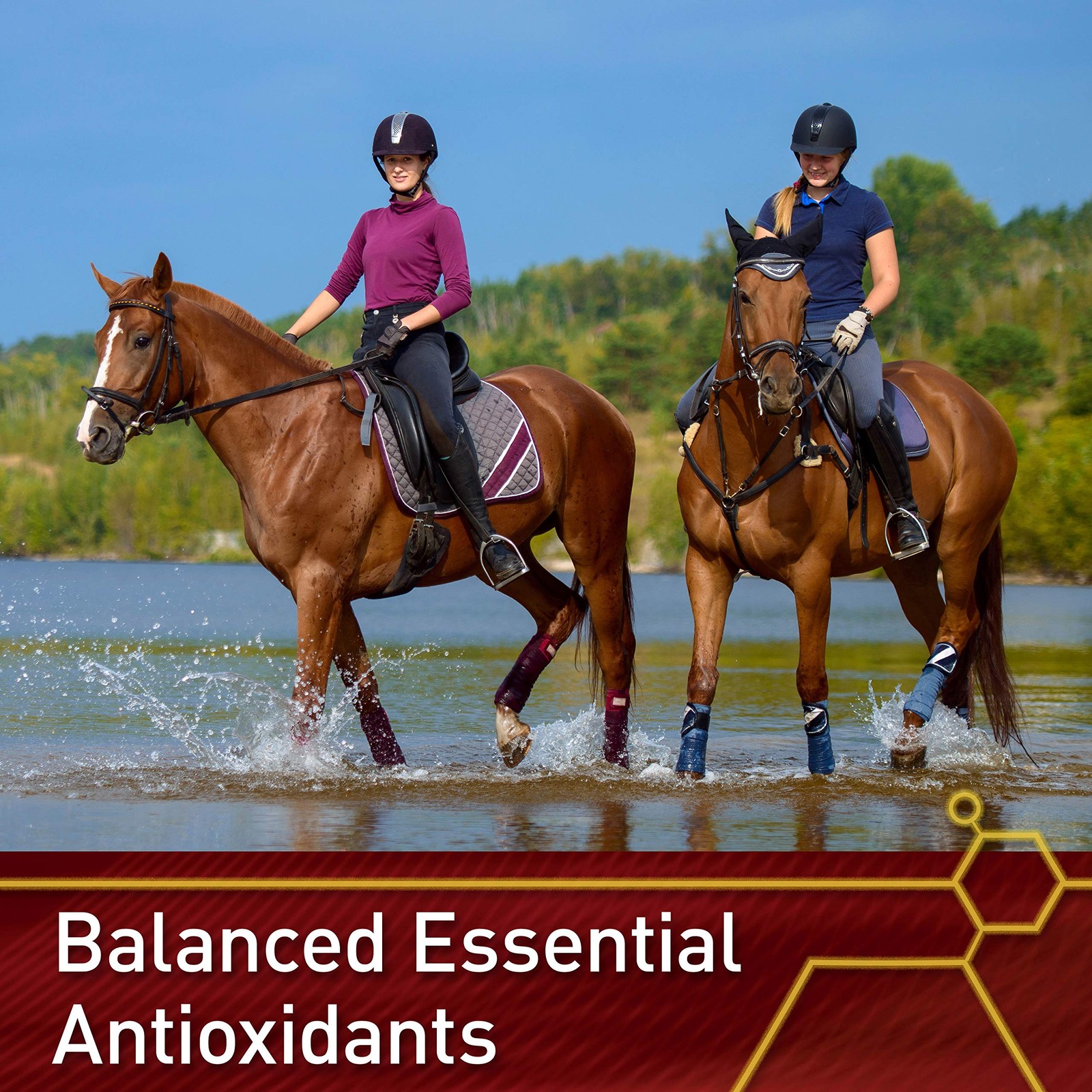 Pro E & Selenium Supplement, Vitamin E and Selenium Powder for Horses, Balanc...