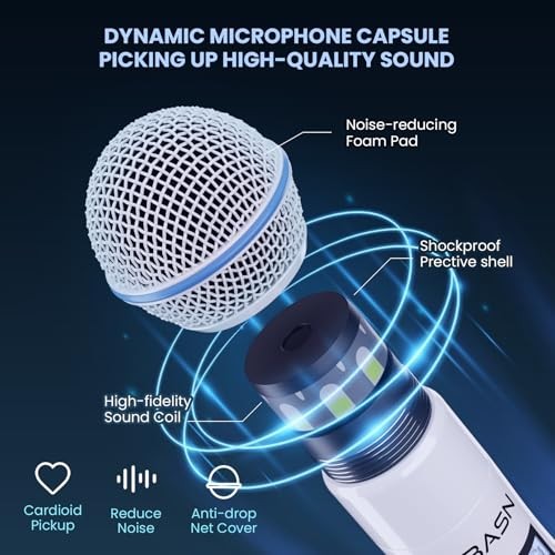 BASN UHF Dual Channel Wireless Microphone System - Handheld Mics for White-Black