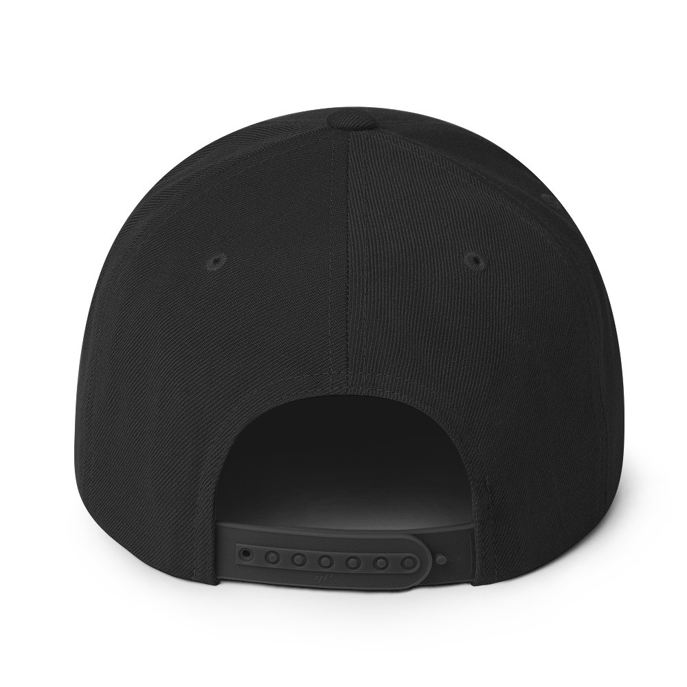 Tinfoil Hat Aluminum Foil Hat Snapback Hat