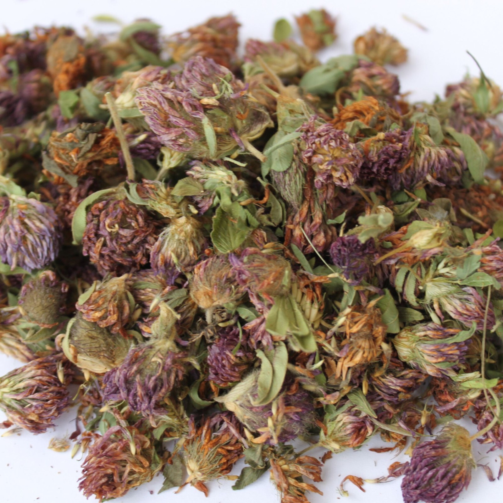 Red Clover Tops | Whole Flower Herb 1oz (28.3g) | Natural Women Hormonal & Detox