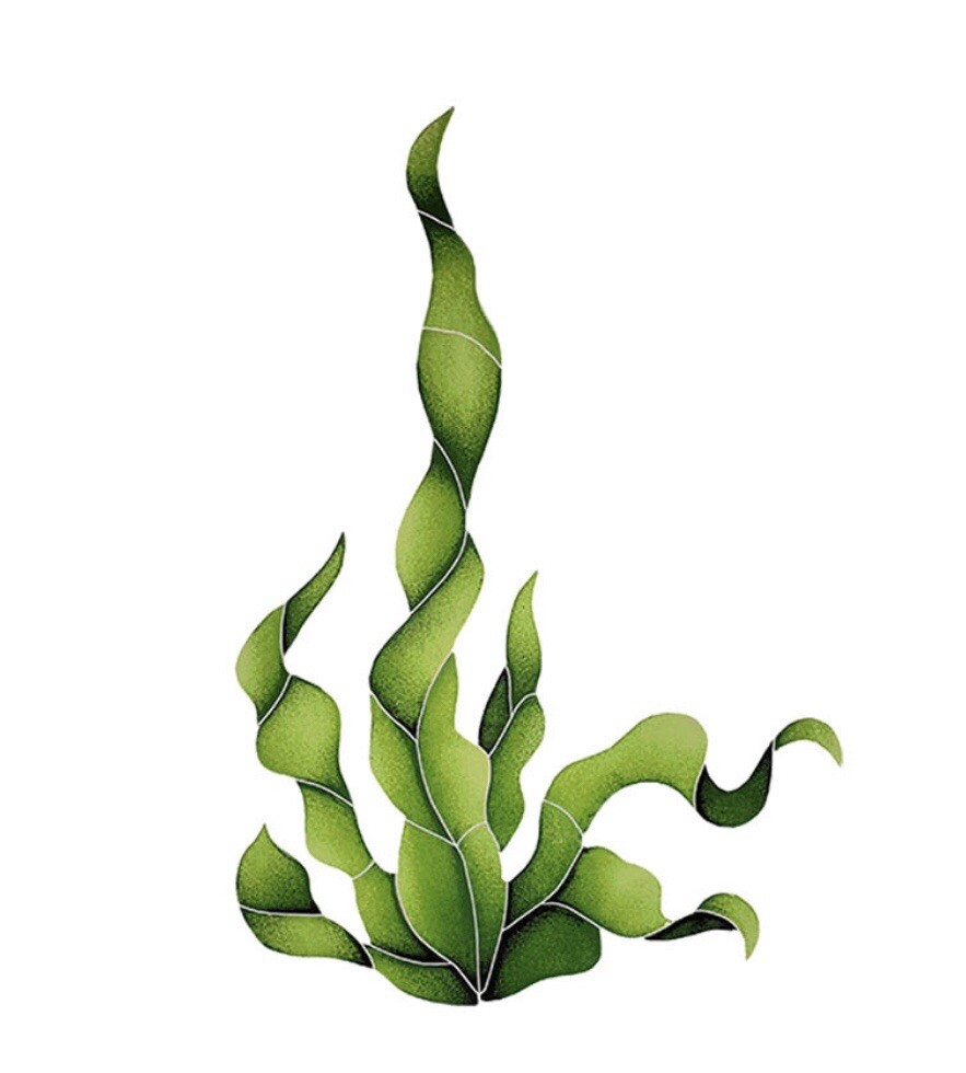 Small Seaweed Ceramic Mosaic for Swimming Pool or Wall 16"x11" - Free Shipping