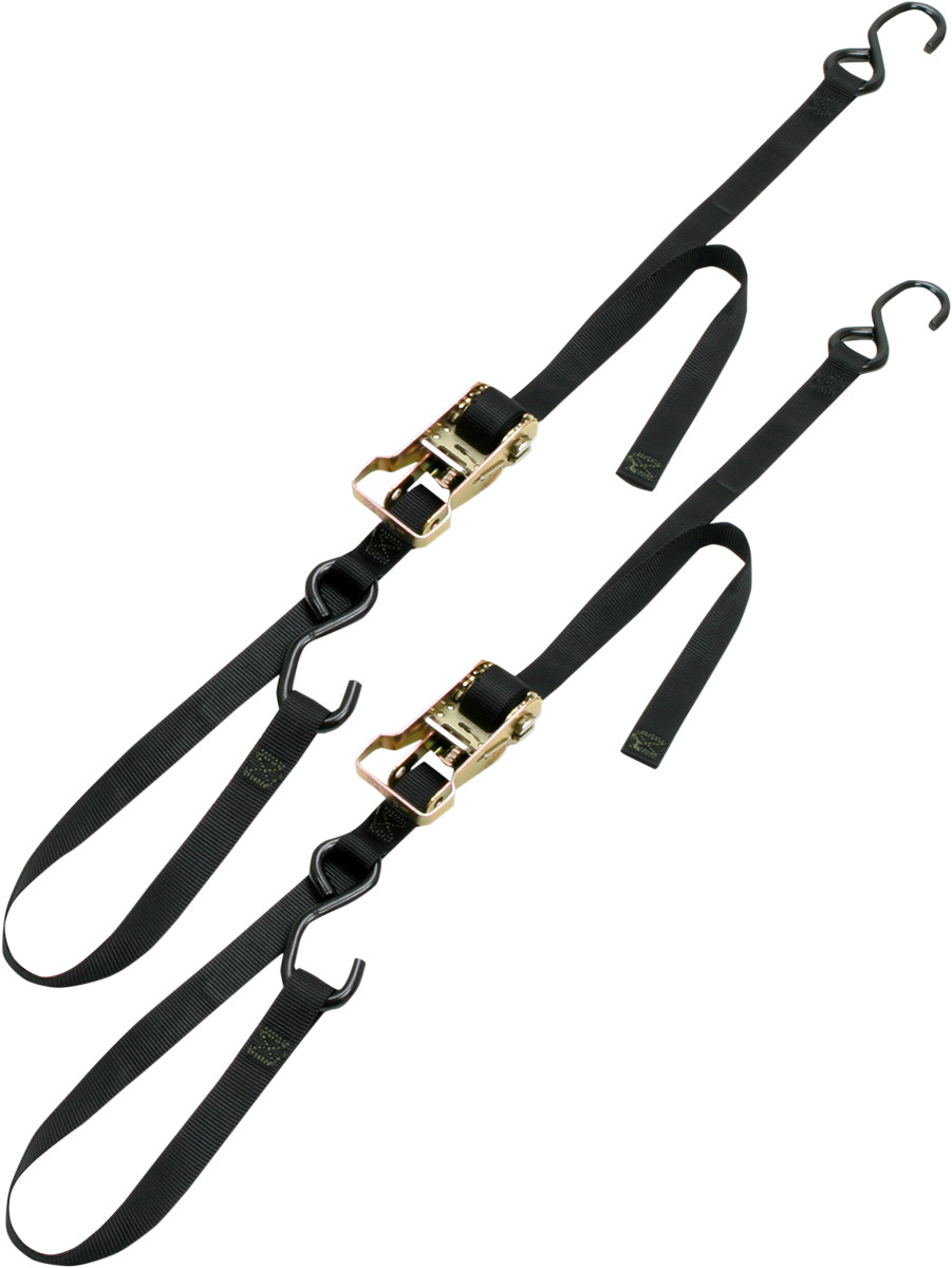ANCRA 49498-11 1 Inch Integra Rat Pak Tie-Downs Black 6 Feet