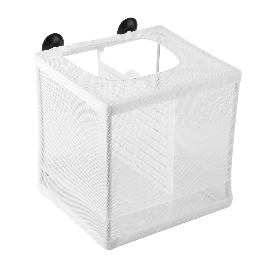 Small Fish Isolation Box With Partition Incubator Breeding Box