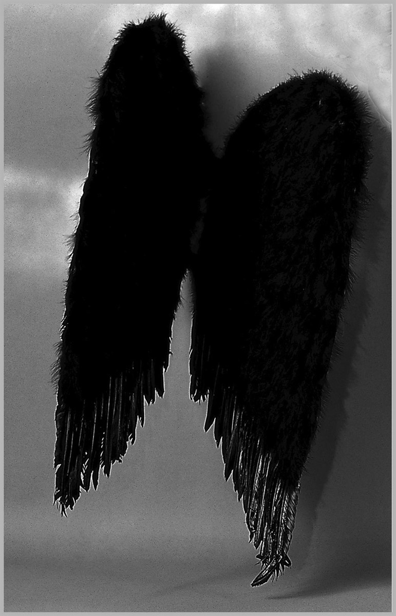 Feather Wings - Rubie's